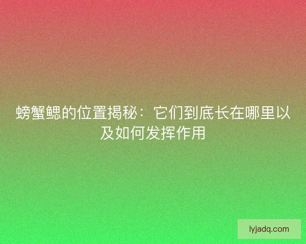 螃蟹鳃的位置揭秘：它们到底长在哪里以及如何发挥作用